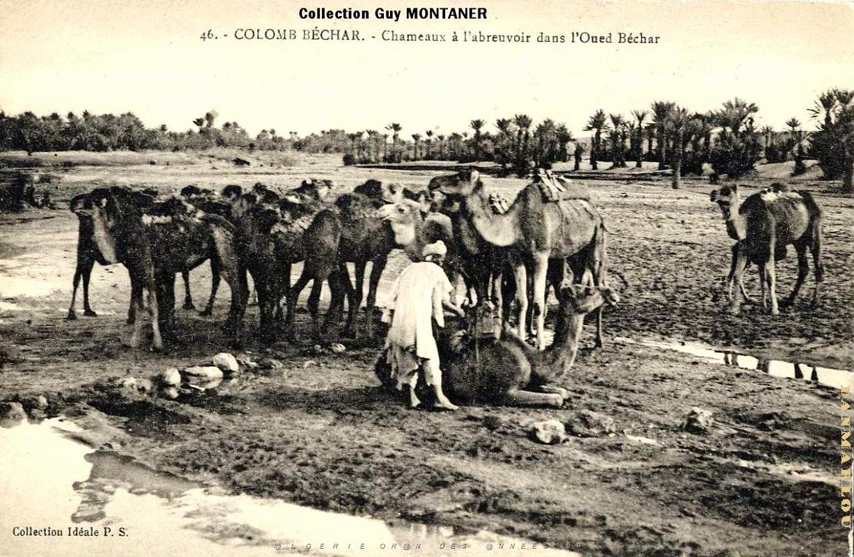 Colomb bechar 025- Collection Montaner_2.jpg